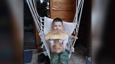 FOTO: Marek sa pochválil poriadnym úlovkom. Pri Sabinove našiel dubák väčší ako hlava