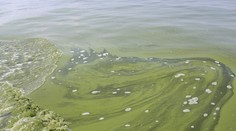 V Ohio je bez vody 400-tisíc ľudí pre jed z rias