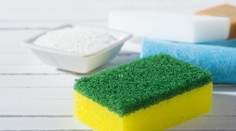 Špongie na riad a nielen naň. Objavte rôzne využitie týchto malých pomocníkov