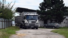 Pre mor utratili ďalších 200 ošípaných, do maštale ich mohli priniesť muchy