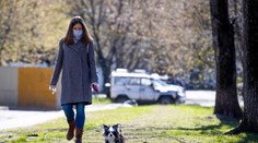 Fantastické: V týchto krajinách nezaznamenali žiadny nový prípad nákazy koronavírusom