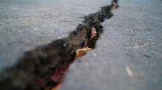 Japonsko zasiahlo zemetrasenie, zem sa triasla aj v dejisku olympijských hier