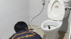 Hrôza na toalete: Muž sa vydesil, keď sa ho niečo zvnútra dotklo. Bol to obrovský pytón