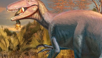 Mimoriadne obratný vrcholový predátor. Nový druh dinosaura by bol ideálnym záporákom vo filmovej sérii Jurský park