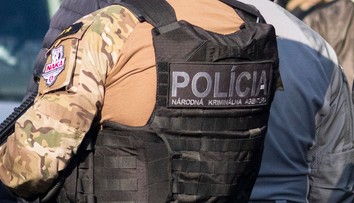 NAKA zasahovala na pozemku exmanželky milionára