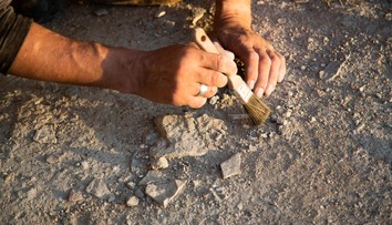 Vedci zrekonštruovali podobu najstaršieho známeho predka človeka. Štvoroké čudo objavili v Číne