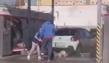 Psíka sa rozhodli umyť v autoumyvárke v Prievidzi. Reakcia zverolekára je jednoznačná