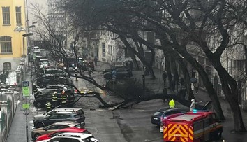 FOTO: V centre Bratislavy spadol obrovský strom. Zablokoval ulicu a poškodil autá