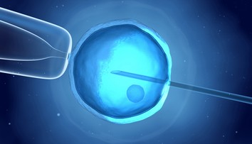 Asistovaná reprodukcia? Môže, ale nemusí vyjsť na prvý ani na desiaty pokus