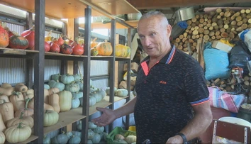 Vypestoval tekvicu s hmotnosťou 233 kilogramov. Úspech je podľa neho hotová alchýmia