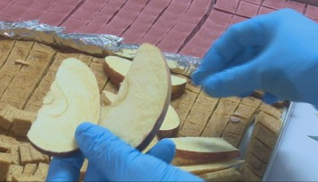 Rodiny si ovocie aj zeleninu sušia mrazom. Odhalili tajomstvo svojho spracovania