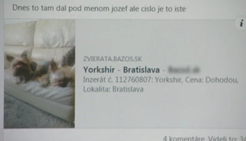Ľudia sadli na lep podvodníkovi. Zaplatili za šteniatko, no nemajú psa ani peniaze