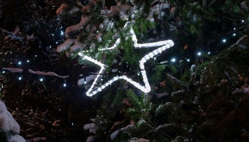 Budeme mať Vianoce v bubline? Takto by mohla vyzerať výnimka zo zákazu vychádzania