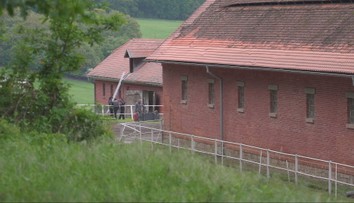 Tragédia v stajni: Sedemnásť žriebät sa udusilo dymom