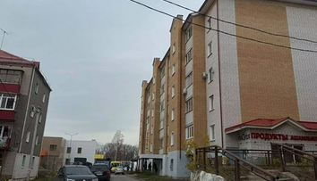 Dievča (5) vyhodilo z okna svoju novonarodenú sestru, na mieste zomrela. Za desivým činom zrejme bola žiarlivosť