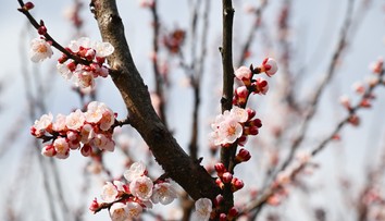 Počasie na Veľkú noc: Teploty sa vyšplhajú poriadne vysoko