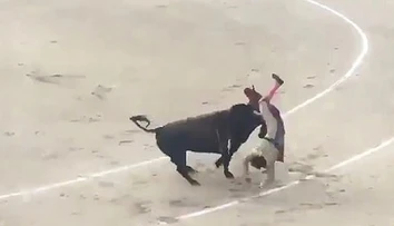 VIDEO: Dychberúci útok býka na matadora. Muž lietal vzduchom ako handra