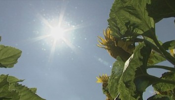 Jar okolo nás iba preblesla. Všetko dozrieva skôr a kvalita plodín je mizerná