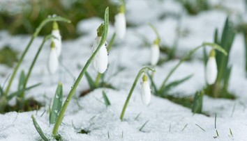 VIDEO: Po jari niet ani stopy. Na Liptove sneží