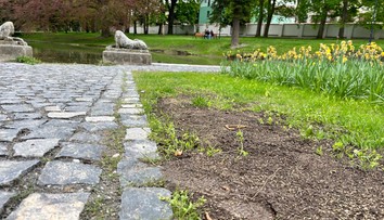 V sobotu ho otvorili, už v nedeľu bol zničený. Nový park pri Bratislave ovládli vandali