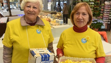 Dnes je Deň narcisov: Napriek upršanému počasiu chcú rozdať milión žltých kvetov