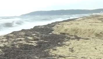 Nafta, ktorá unikla pri zrážke lodí na Korzike, zasiahla aj svetoznámu pláž