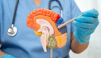 Jeden drobný zlozvyk môže mať vážne následky. Vedci varujú pred rizikom demencie