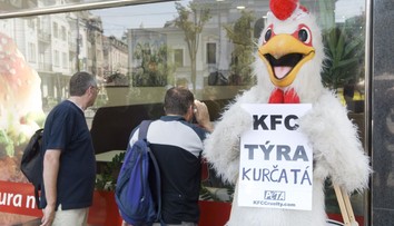 KFC prestane používať kurčatá kŕmené antibiotikami určenými ľuďom