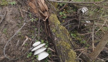 Menili im elektrické stĺpy, okrem toho im zničili pozemky