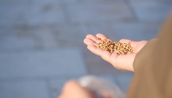 Zvyknete kŕmiť vtáky? V týchto mesiacoch by ste to rozhodne robiť nemali