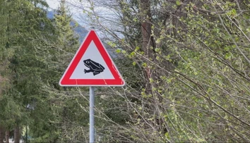 Cesta pri Ružomberku sa zmenila na pohrebisko. Jarná migrácia žiab sa skončila tragicky