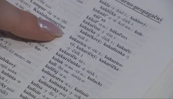 Slovo roka 2025 je vo svete jasné, ale slovenskí jazykovedci majú úplne iný tip. Prekvapí vás?