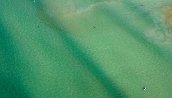 Vo vode nebola zďaleka sama. Keby toto tušila, prchá preč