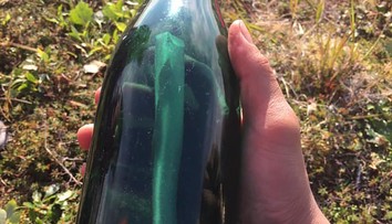 Muž zbieral drevo na kúrenie, našiel 50-ročný námorníkov odkaz