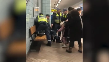 Šokujúce video: Strážnici použili hrubú silu na tehotnú ženu s malým dieťaťom