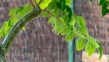 SHMÚ varuje pred búrkami. V niektorých okresoch hrozia aj krúpy