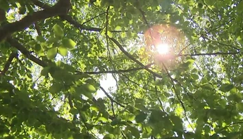 Leto ešte nepovedalo posledné slovo. Nedeľné počasie poteší mnohých Slovákov