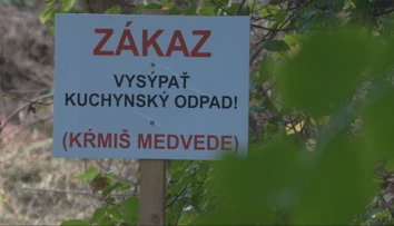 Pravidelne tam vídavajú medvede. Láka ich skládka v Liptovskej Sielnici, obec nevidí riešenie