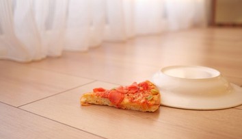 Spadlo vám jedlo na zem? Vedci zistili, či sa dá veriť pravidlu piatich sekúnd