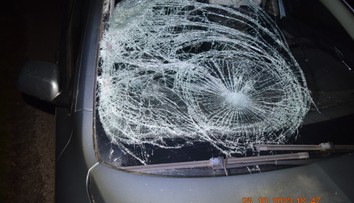 Mladík z južného Slovenska si išiel zabehať, teraz bojuje v nemocnici o život