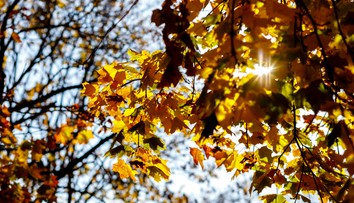 Pripravte sa na extrémne vysoké teploty. Budú až 10 °C nad normálnymi hodnotami na Slovensku