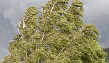 Mohutný orkán sa blíži. Slovensko čaká extrémny vietor, SHMÚ vydáva výstrahy