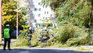 Mortimer už slabne. Na svedomí má však tri obete