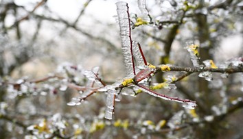 Na Slovensko sa valí prudká zima. Zažijeme mimoriadny pokles teplôt, pozor na veľký mráz