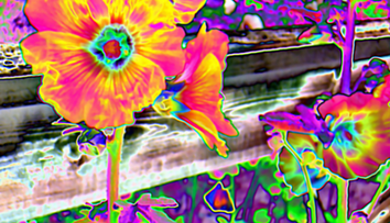 Holanďania urobili veľkú raziu proti výrobcom syntetických drog