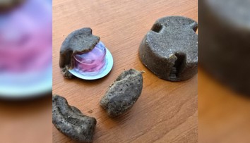 Pozor pri prechádzkach na Slovensku. Rozhadzujú sa návnady, ktorých sa netreba dotýkať