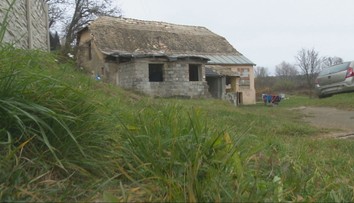 Psa im zastrelili priamo pri rodinnom dome. Starosta nato zavolal veterinára, na krku už majú trestné oznámenie