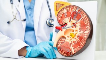 Na Slovensku pribúda rakovina obličiek. Pacienti si všimnú jeden varovný príznak
