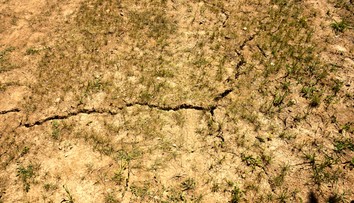 Časť Slovenska postihuje extrémne sucho. Tieto oblasti sú na tom najhoršie