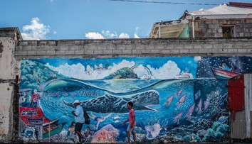 Karibský ostrov Dominika vytvorí prvú prírodnú rezerváciu pre ohrozené vorvane